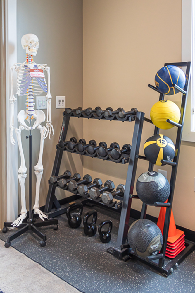 A model skeleton named Albert Spinestein standing next to the dumbbell rack inside of Athletic Advantage's physical therapy gym