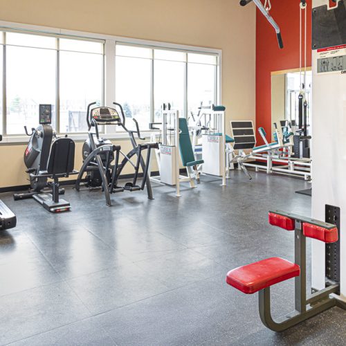 Exercise equipment in unoccupied gym: including treadmill and weights
